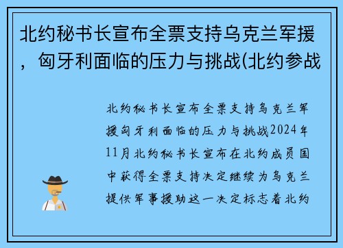 北约秘书长宣布全票支持乌克兰军援，匈牙利面临的压力与挑战(北约参战)